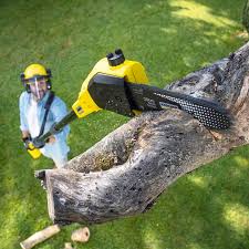 Best Sod Installation  in Caldwell, ID